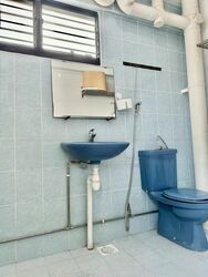 Blk 246 Serangoon Avenue 3 (Serangoon), HDB 5 Rooms #438080971